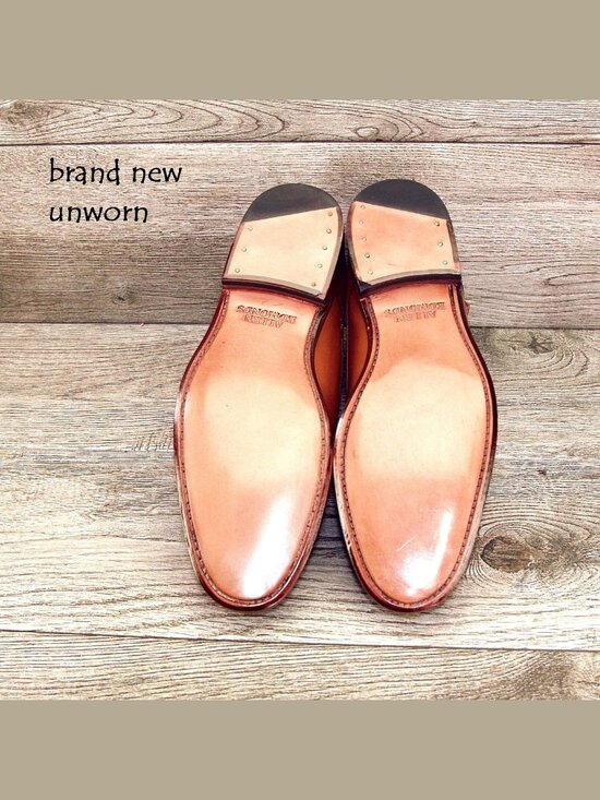 * NIB * $450 Allen Edmonds PIERCE Monkstrap 7 D Walnut * add $15 new Trees main image 13